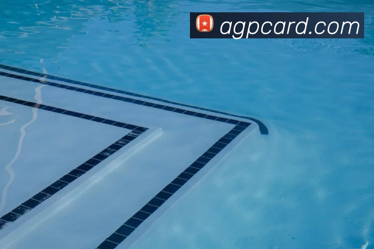 ag视讯官网APP 封面图